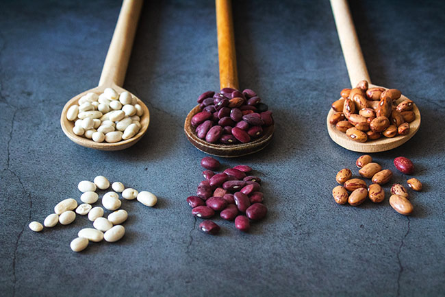 Picture of 3 spoons filled with dried beans